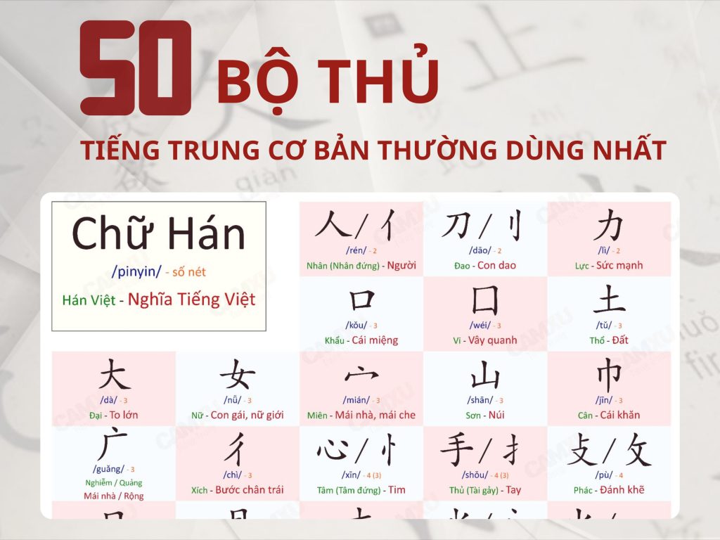 Danh Sách Top Bộ Thủ Tiếng Trung Cơ Bản Cần Nắm
