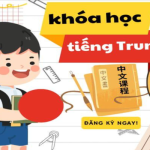 Đánh giá các tiêu chí vàng giúp lựa chọn khóa học tiếng Trung