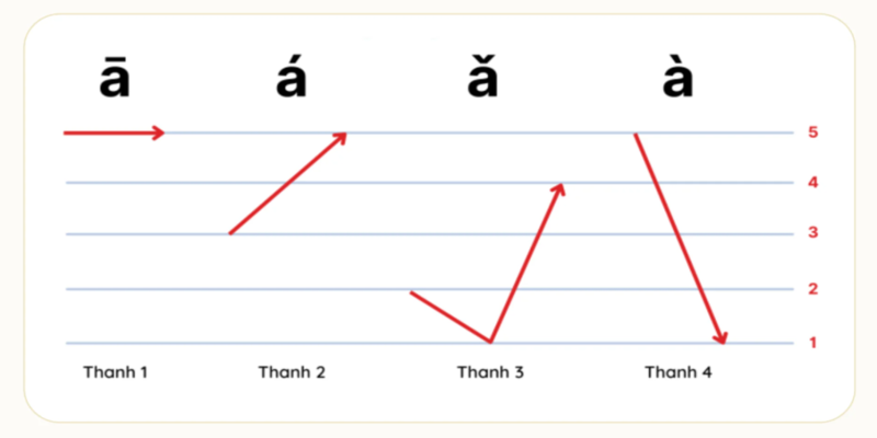 Tổng Quan Về Các Thanh Điệu Tiếng Trung Cơ Bản