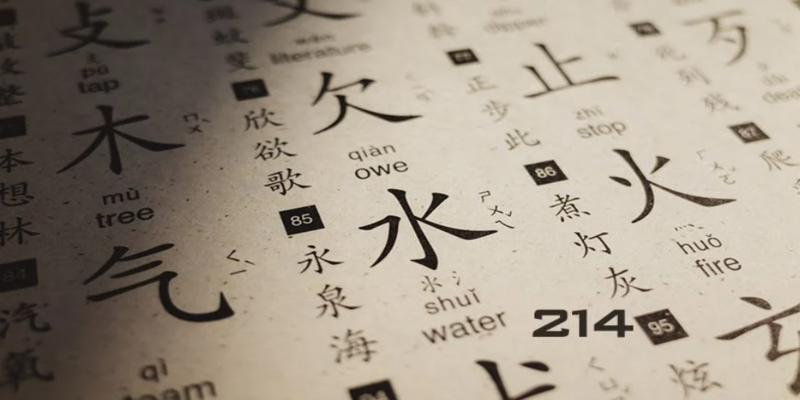 Ưu nhược điểm khi tự học Tiếng Trung xuất nhập khẩu tại nhà